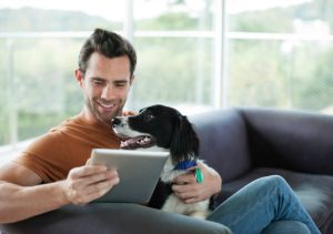 Best pet insurance reviews UK 