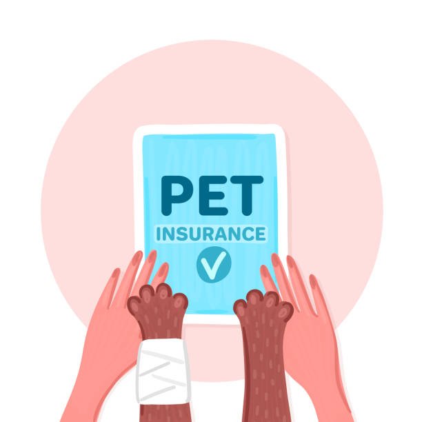 Pet insurance claims exceed £1 billion market