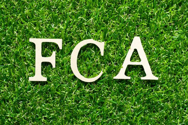 FCA Investigation Exposes Widespread Misconduct