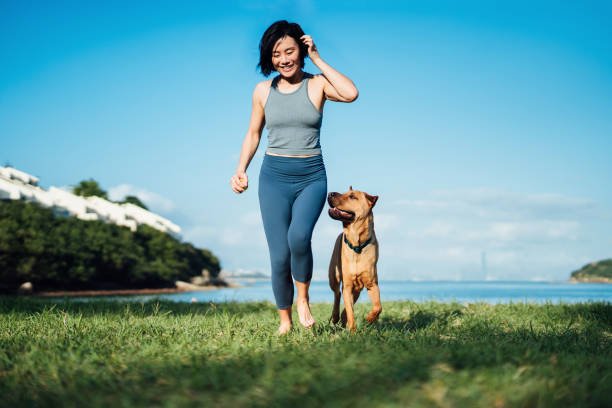 More People and Pets Getting Insured