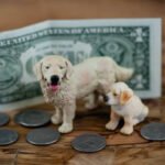 What is the most expensive pet to insure